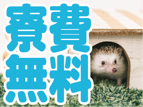 軽作業・検査・ピッキング 家電などに使われる基板パーツの原料投入や製品の充填・梱包/寮費無料/工場/製造