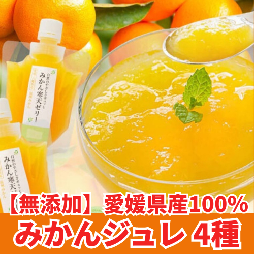 【無添加】愛媛県産100％ みかんジュレ 4種《6個セット》