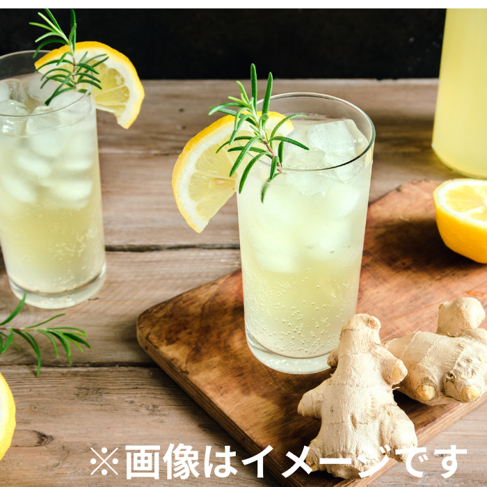 オーガニック　ジンジャービアー　250ｍl
