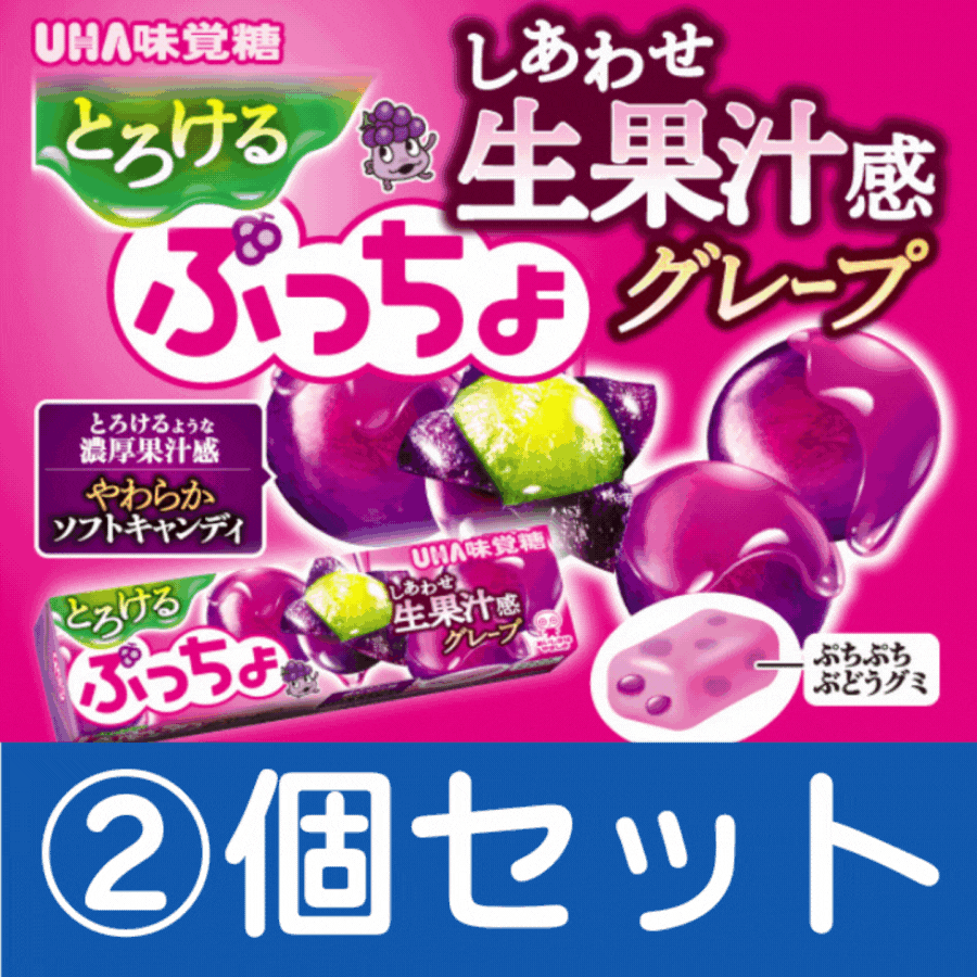 UHA味覚糖　ぷっちょスティックとろけるグレープ　2個セット