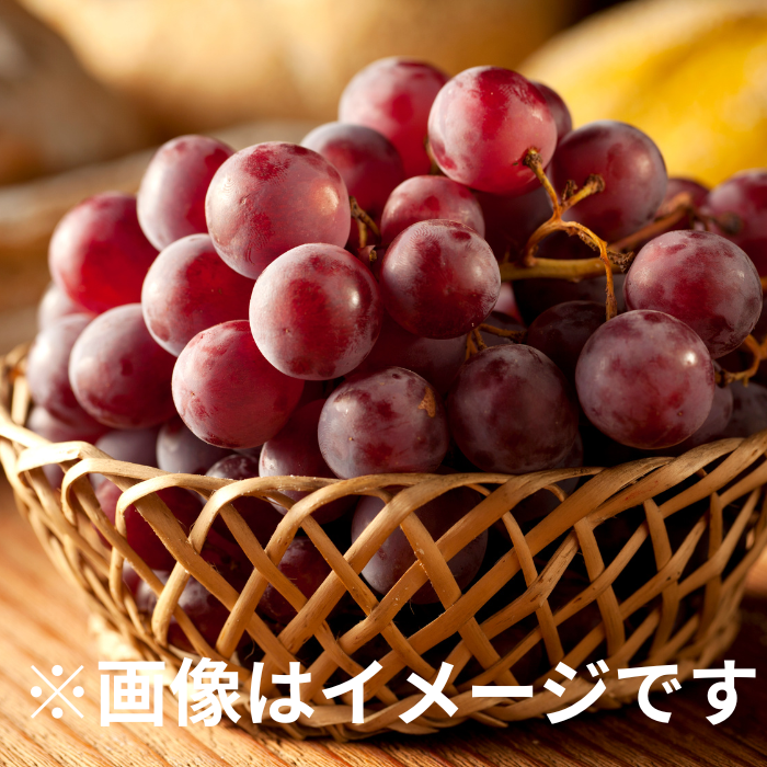 UHA味覚糖　ぷっちょスティックとろけるグレープ　2個セット