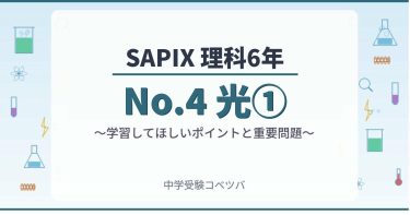 SAPIX 小5 教材フルセット4教科 1〜37回＋春夏冬講習 算数基礎トレ booksdream-store2_xf01-079