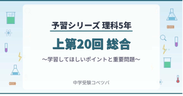 予習シリーズ 5年生 算数：夏期講習(必修編)第1回 比の表し方のおはなし