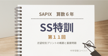 【サンデーサピックス(SS)特訓 第11回】志望校別プリントの概要と重要問題