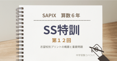 【サンデーサピックス(SS)特訓 第12回】志望校別プリントの概要と重要問題
