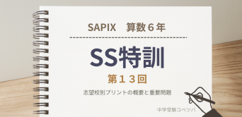 サピックス6年生 サンデーサピックス(SS)特訓 第13回 志望校別プリントの概要と重要問題
