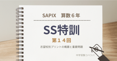 【サンデーサピックス(SS)特訓 第14回】志望校別プリントの概要と重要問題