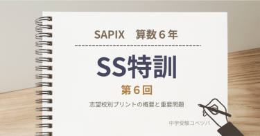 【サンデーサピックス(SS)特訓 第6回】志望校別プリントの概要と重要問題