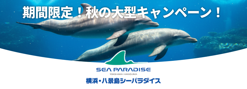 メインビジュアルバナー