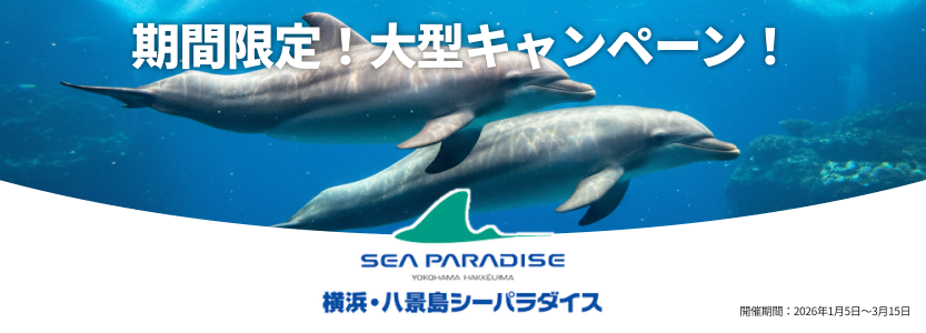 メインビジュアルバナー