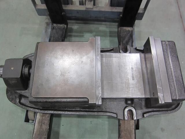 TSUDAKOMA  Vice Image 2
