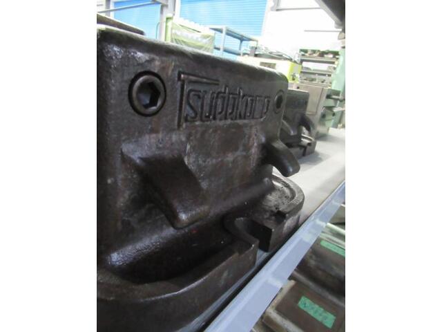 TSUDAKOMA  Vice Image 2