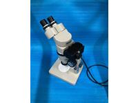 Olympus SMZ-10 Microscope Q81 Image