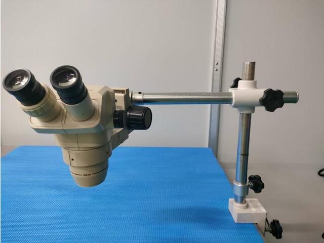  　 Microscope Image 2