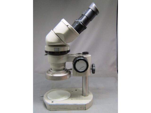   Microscope Image 1