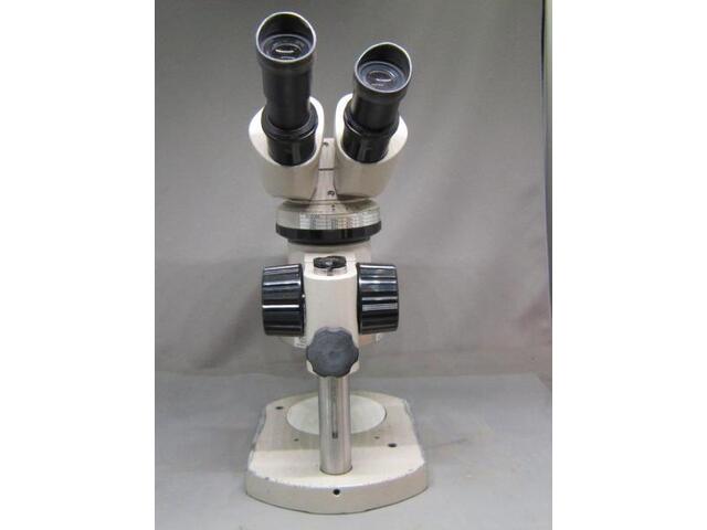   Microscope Image 4