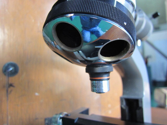 Olympus MF Microscope Image 3