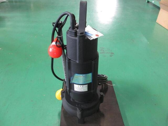 EBARA 50DV2A51.5 Pump Image 1