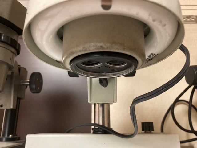 CARTON NSZT44 Microscope Image 3