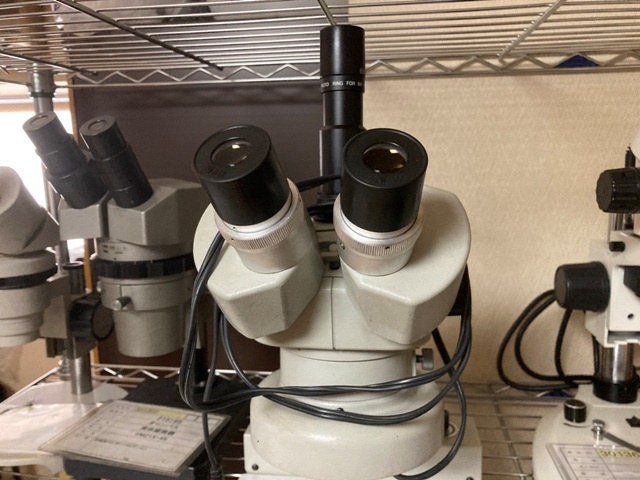 CARTON NSZT44 Microscope Image 4
