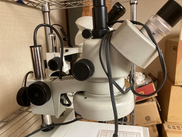CARTON NSZT44 Microscope Image 5