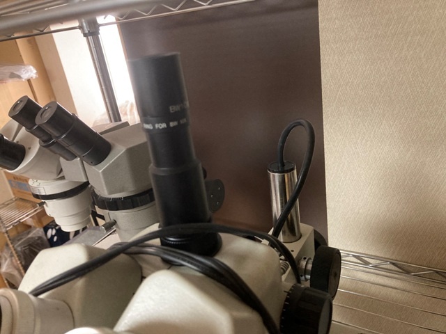 CARTON NSZT44 Microscope Image 6
