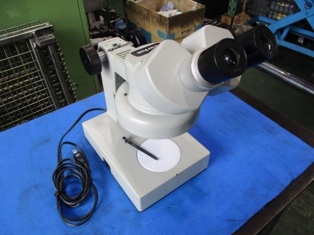 CARTON  Microscope Image 2