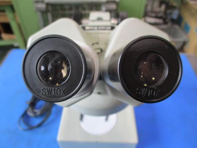 CARTON  Microscope Image 4