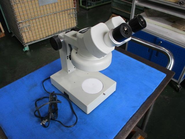 CARTON  Microscope Image 2
