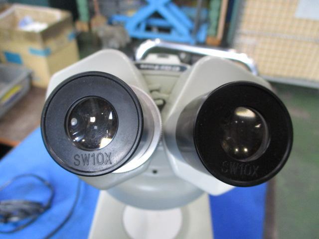CARTON  Microscope Image 4