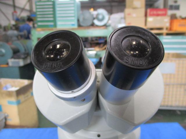 CARTON  Microscope Image 4