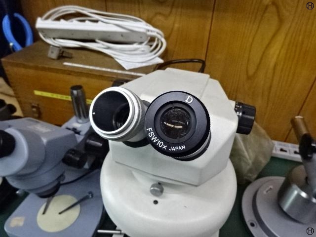 CARTON  Microscope Image 2