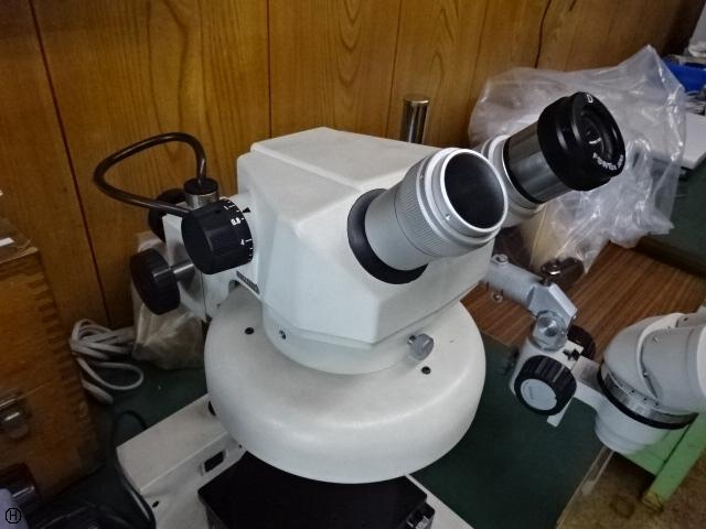 CARTON  Microscope Image 4