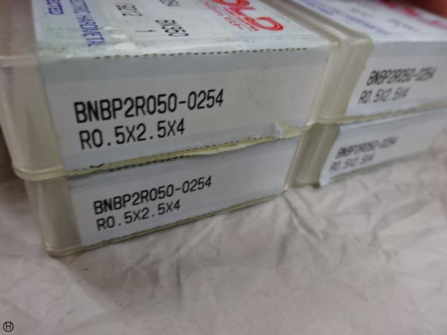 Sumitomo Electric Industries BNBP2R050-0254 End Mill Image 4