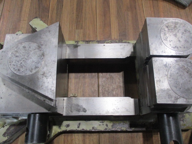   Vice Image 4