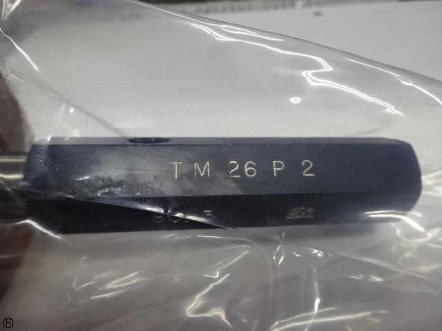 AGS TM26 P2 Screw/Stopper Image 1