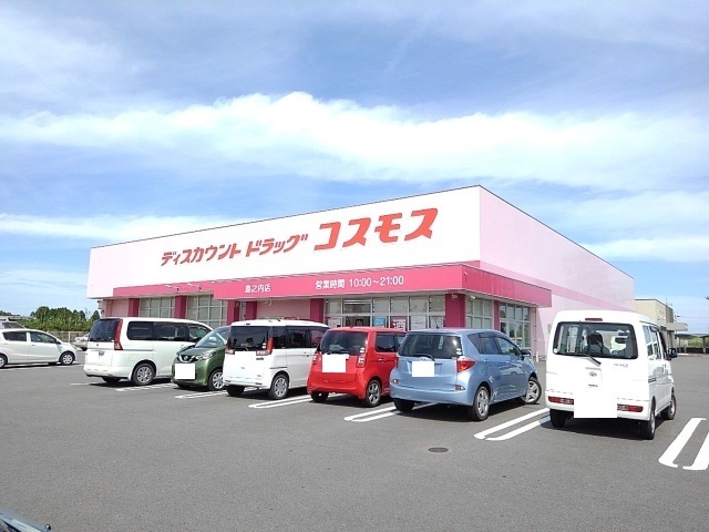 ドラッグストア