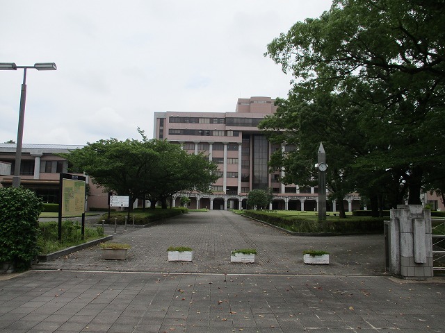 大学