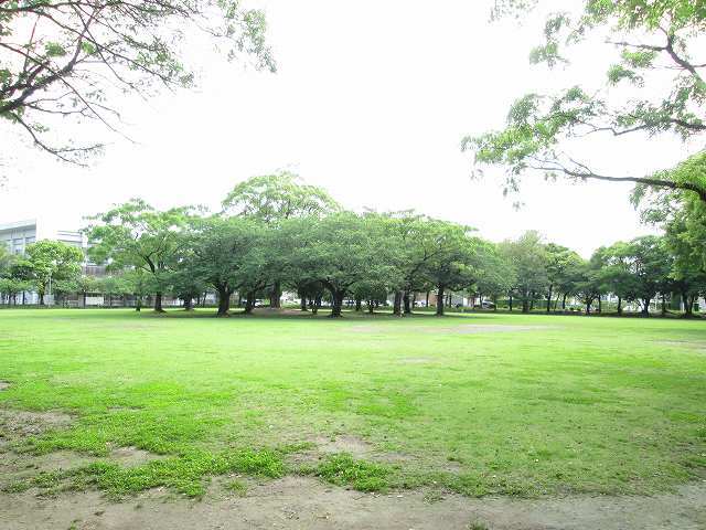 公園