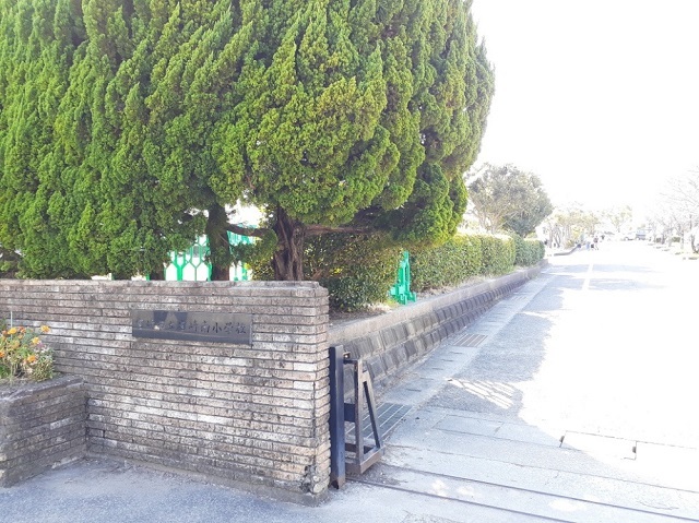 小学校