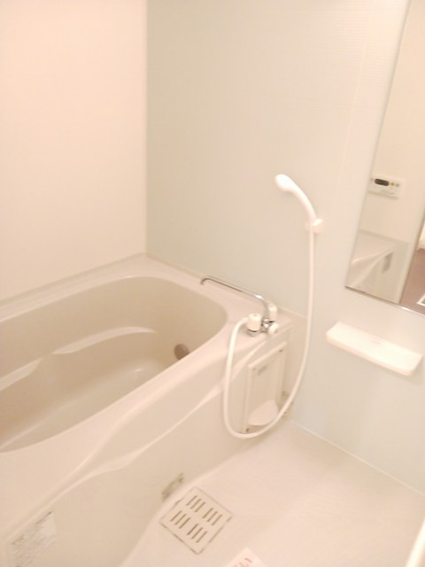 バス