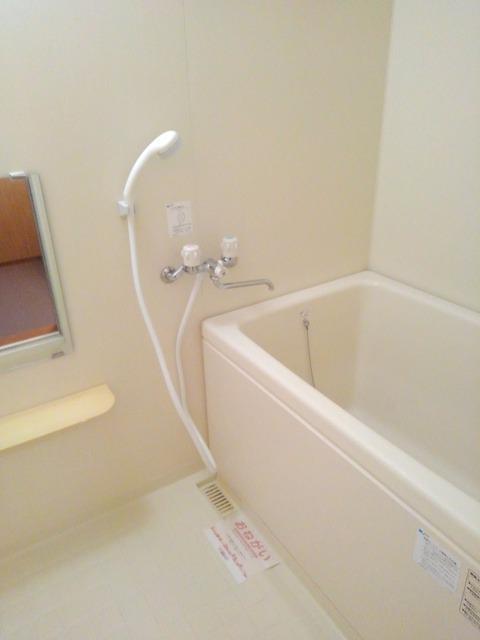 バス