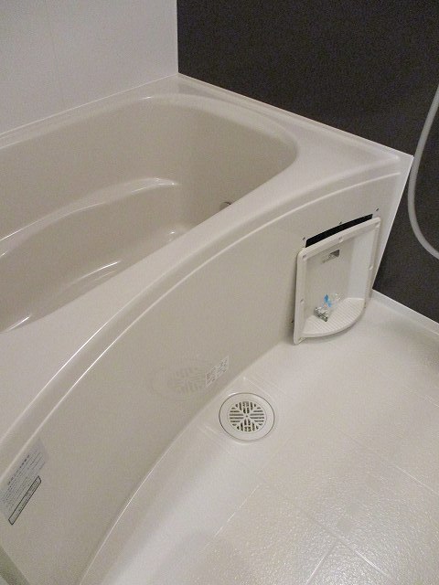 バス