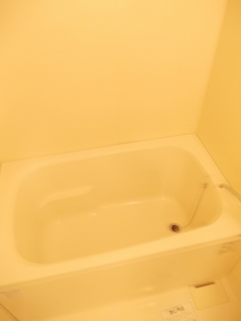 バス