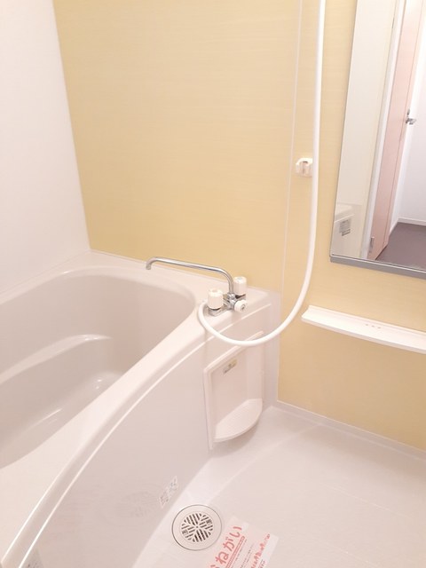バス