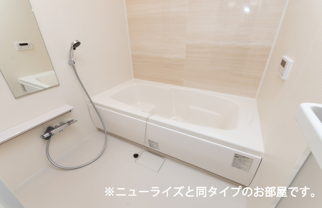 バス