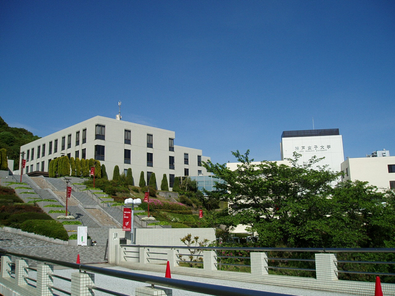大学