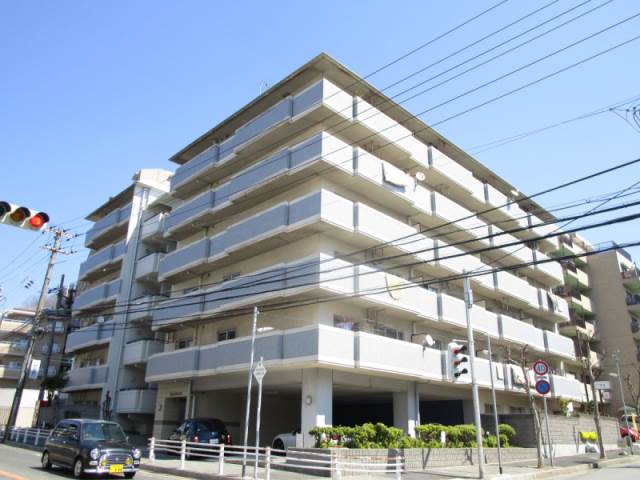 ベルトゥリー若草