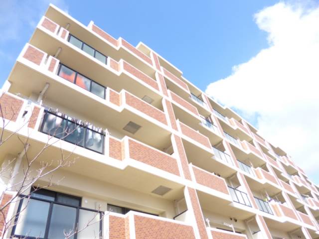 ベルフィオーレ