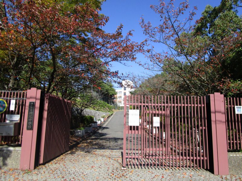 中学校